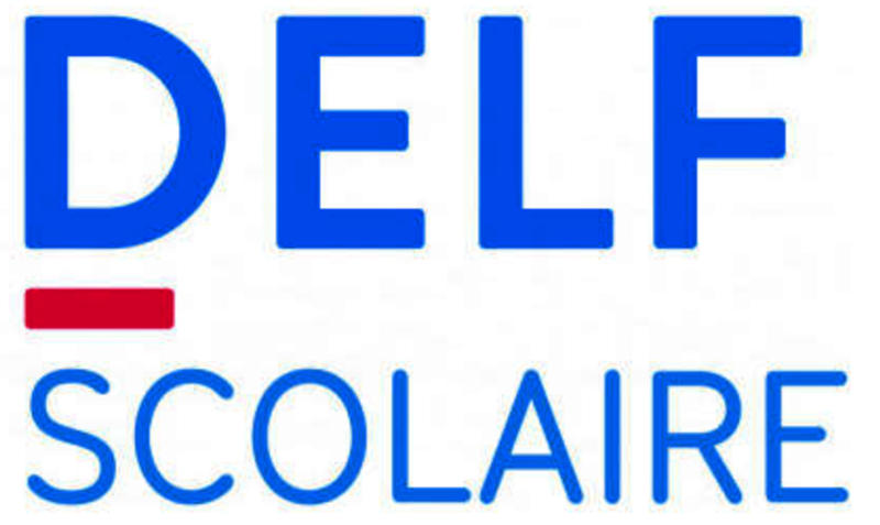 Logo "France Education International // DELF Scolaire"