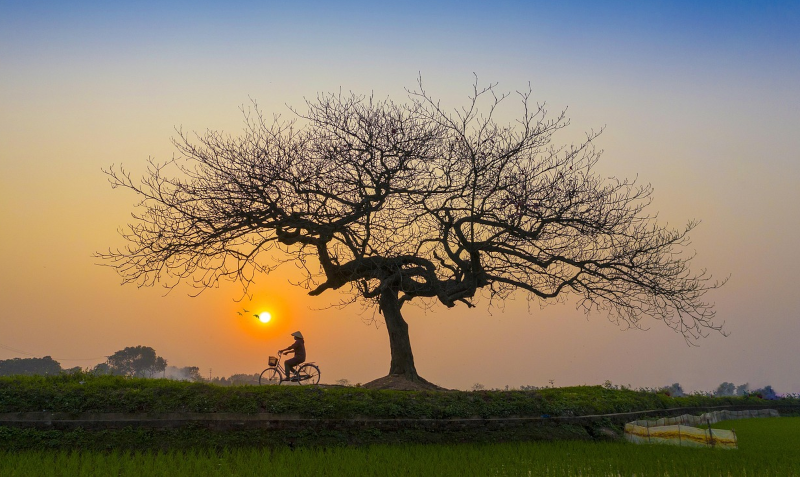 Ein*e Radfahrer*in vor einem Sonnenuntergang